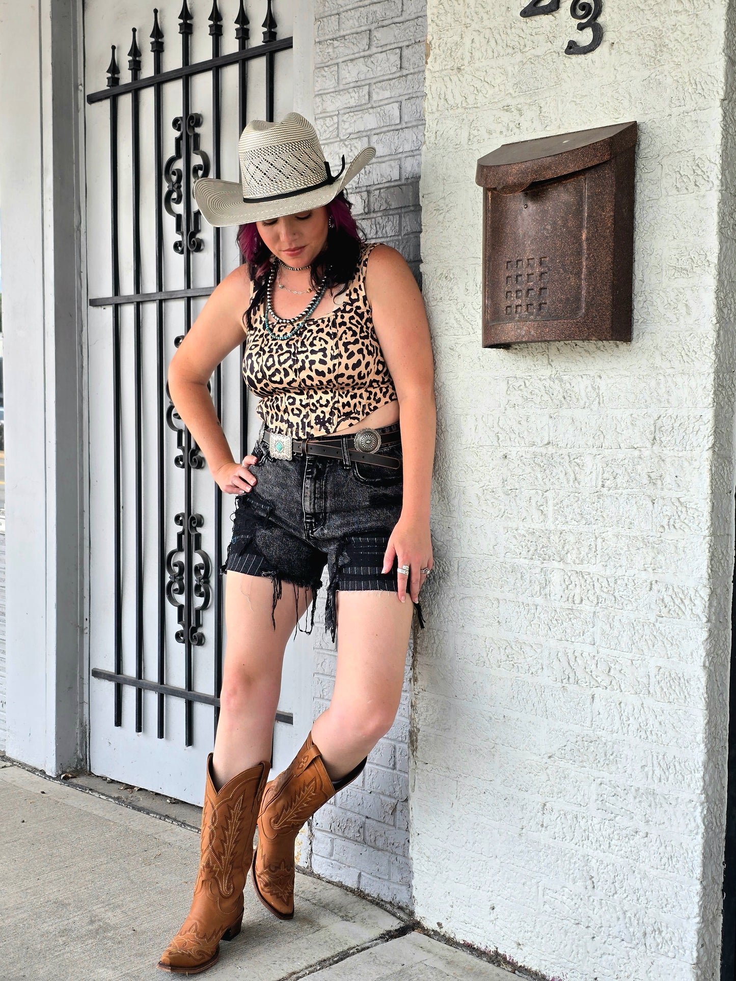 Ashburn Denim Shorts