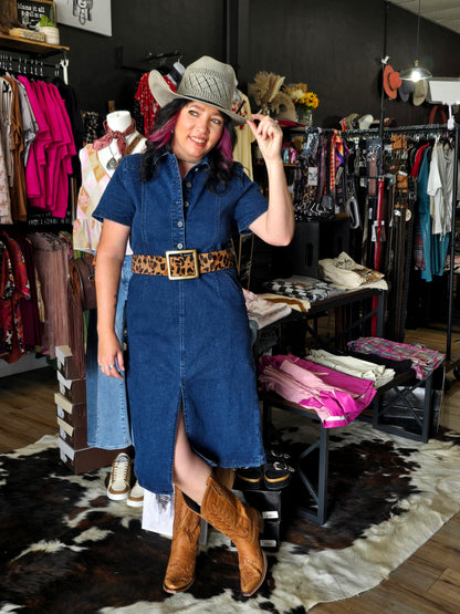 Lil Denim Dress